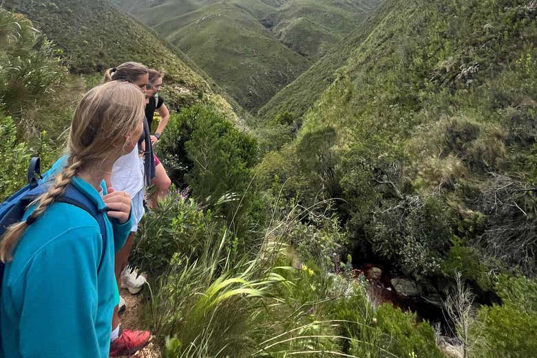 Trekking por Jonkershoek