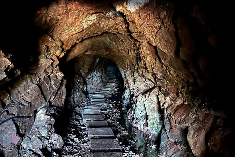 Excursión a la represa de Cuñapirú y Santa Ernestina