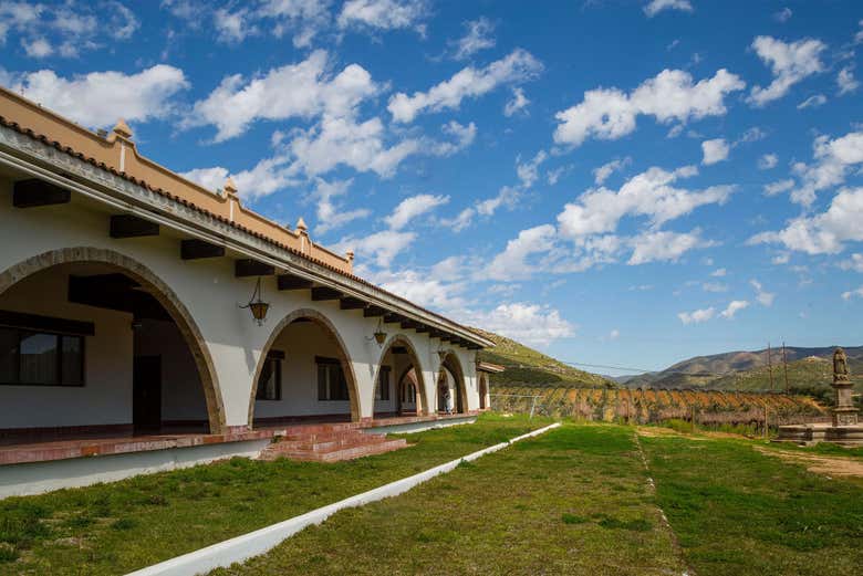 Ruta del vino por el Valle de Guadalupe