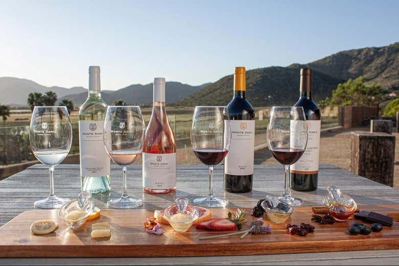 Ruta del vino por el Valle de Guadalupe