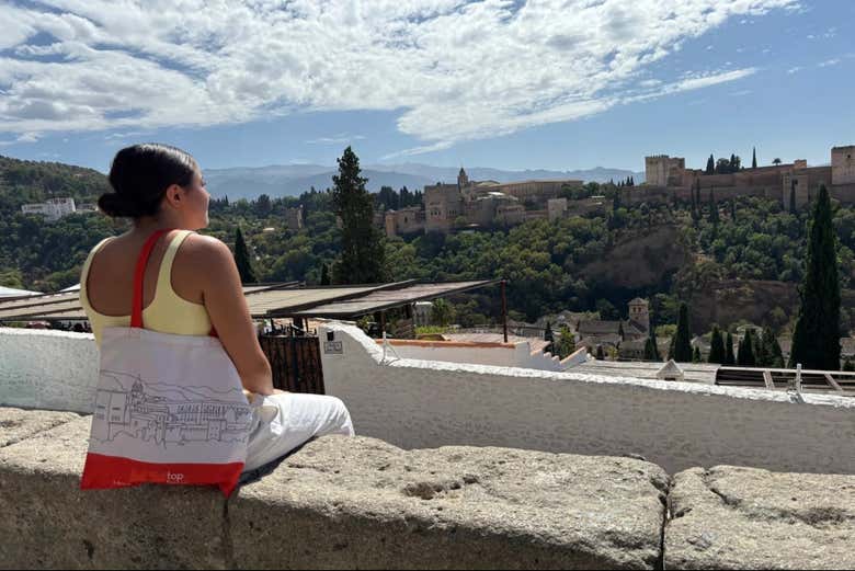 Entradas a la Alhambra con audioguía + Tour panorámico por Granada - Galería 1