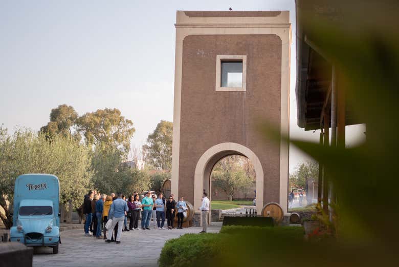Visita a la Bodega Los Toneles + Cena en el restaurante Abrasado