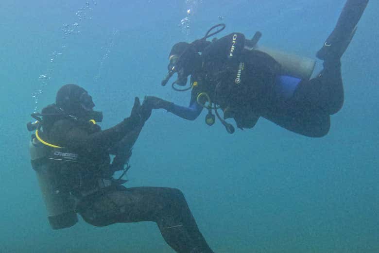 Bautismo de buceo y snorkel con lobos marinos en Punta Loma