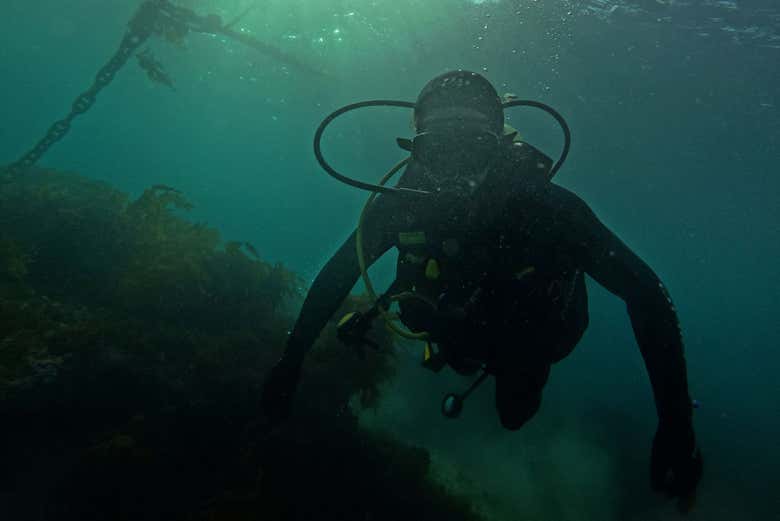 Bautismo de buceo y snorkel con lobos marinos en Punta Loma