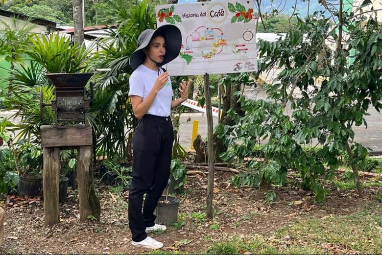 Visita a la finca de café Monte Alto