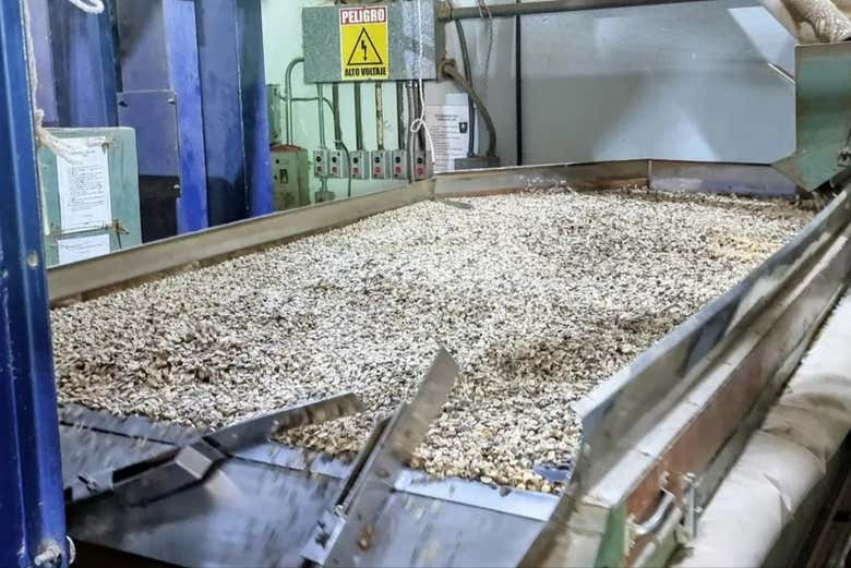 Visita a la finca de café Monte Alto