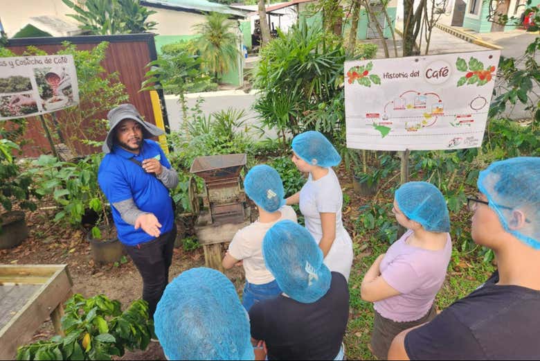 Visita a la finca de café Monte Alto