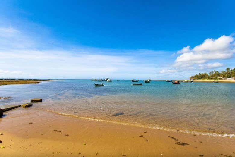 Tour por Praia do Forte