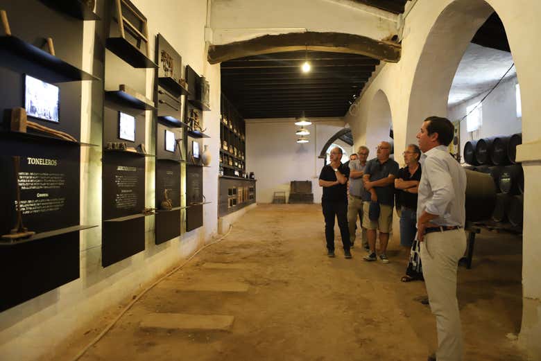 Visita a las bodegas Góngora