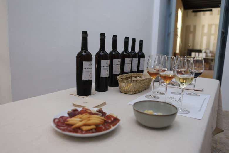 Visita a las bodegas Góngora - Galería 1