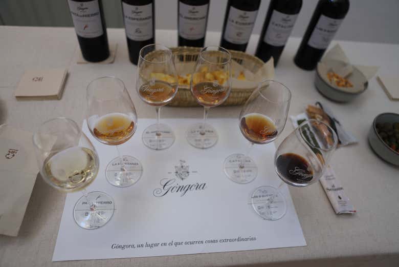 Visita a las bodegas Góngora