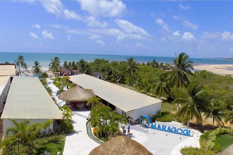 Excursión desde Porto de Galinhas en 2 o 3 días