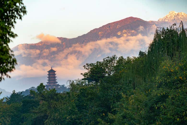 Excursión al monte Qingcheng y Dujiangyan