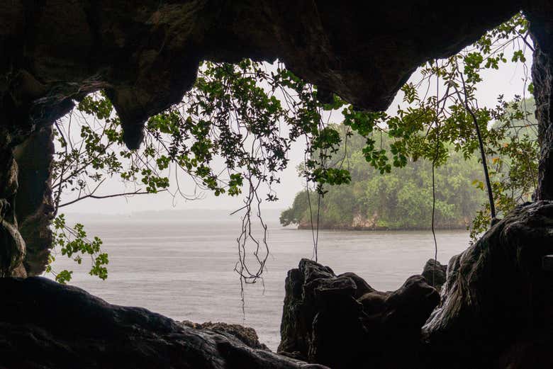 Excursión al Parque Nacional Los Haitises y Cayo Levantado