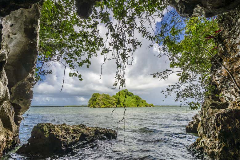 Excursión al Parque Nacional Los Haitises y Cayo Levantado