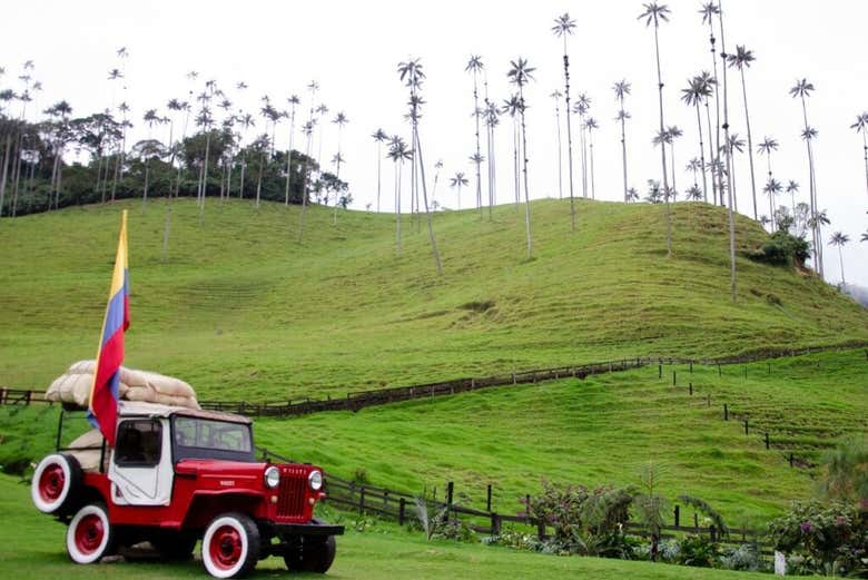 Transporte entre Pereira o Armenia y Filandia o Salento