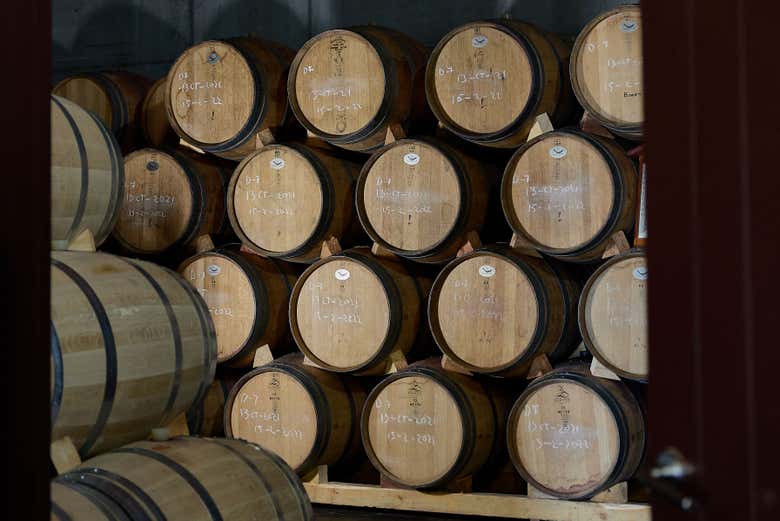 Visita a las bodegas César Príncipe