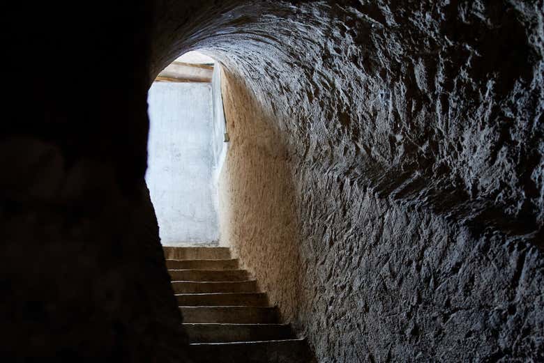 Visita a las bodegas César Príncipe