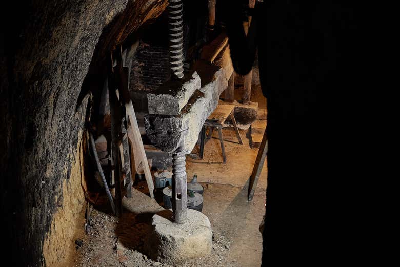 Visita a las bodegas César Príncipe
