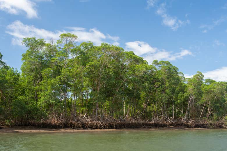 Excursión en barco por el delta del Parnaíba + Ilha das Canárias y Morro do Meio