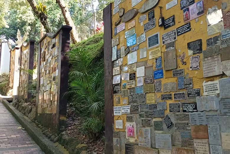 Excursión a Páramo y Valle de San José