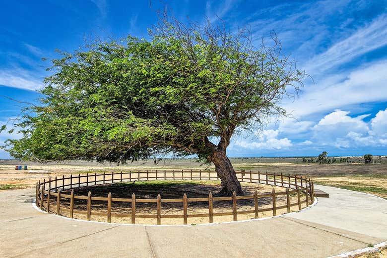 Tour por las playas de Piauí