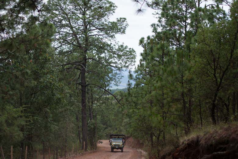 Excursión a la Sierra del Tigre