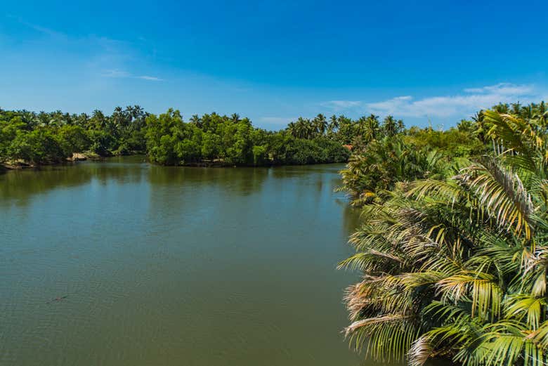 Tour en kayak por el lago de Negombo
