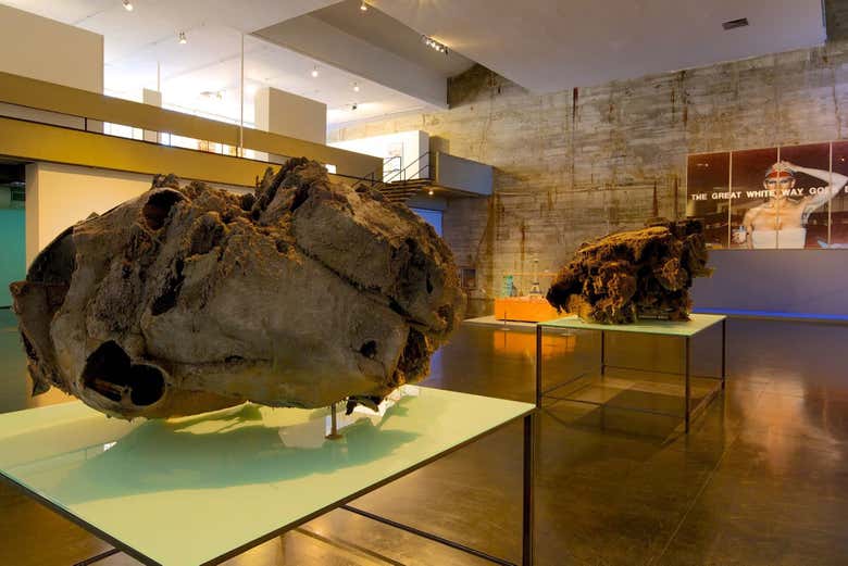 Tour por el Museo de Arte Moderno de Río de Janeiro
