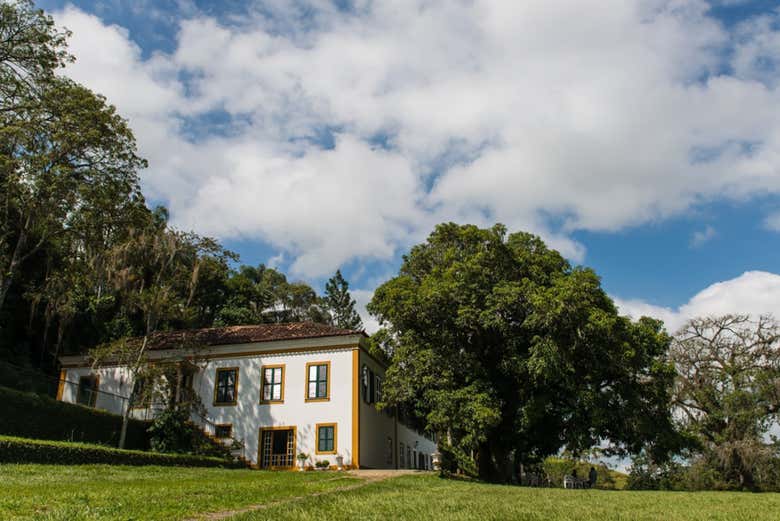 Visita a una hacienda de café