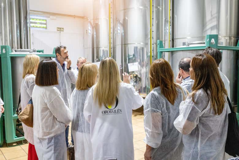 Visita a la almazara Oro Bailén con degustación de aceites