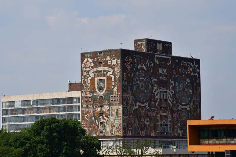 Tour por Coyoacán y Xochimilco + Paseo en trajinera
