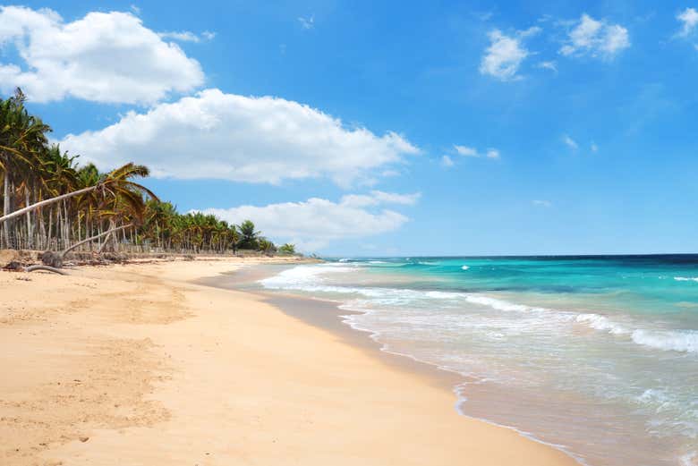 Excursión a Punta Cana + Tour en buggy - Galería 2