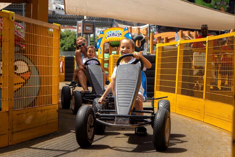 Entradas para Angry Birds Activity Park