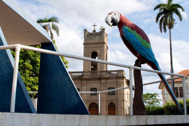 Visita guiada por Miranda