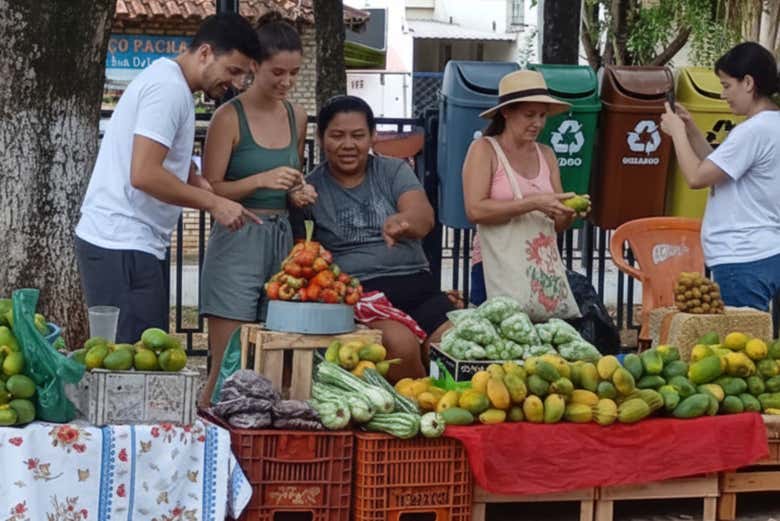 Visita guiada por Miranda
