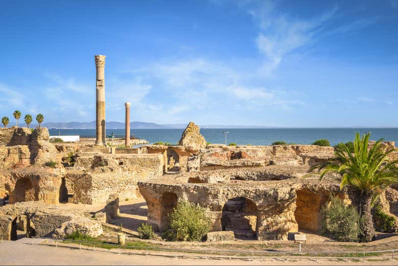Tour por Túnez, Cartago y Sidi Bou Said
