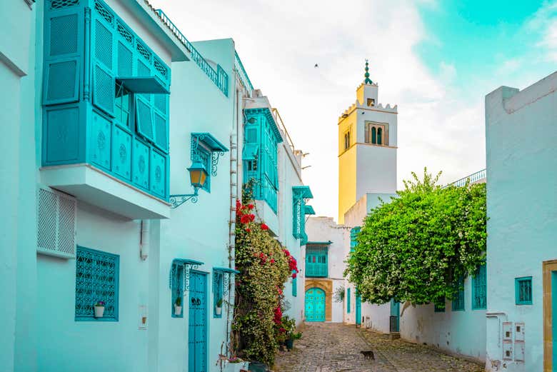 Tour por Túnez, Cartago y Sidi Bou Said
