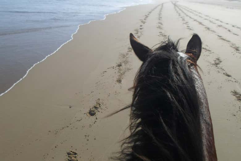 Paseo a caballo por la playa de Hammamet