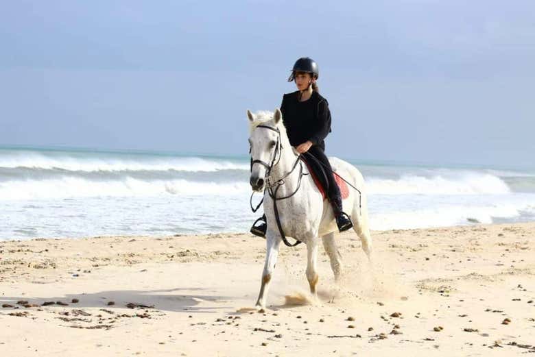 Paseo a caballo por la playa de Hammamet