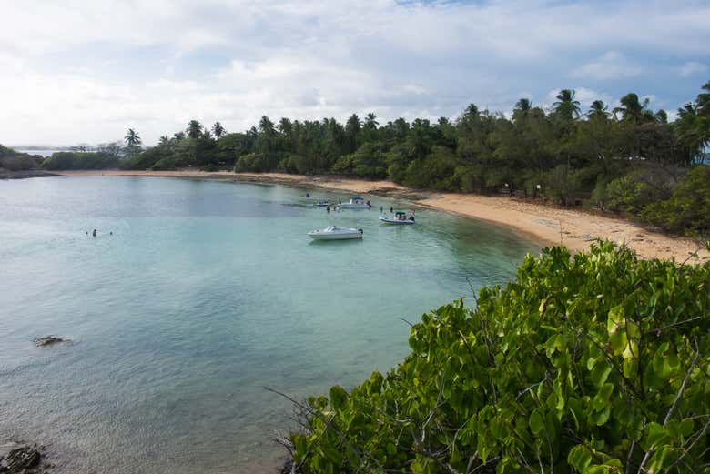 Excursión a la isla de Santo Aleixo
