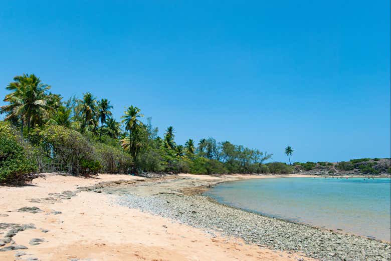 Excursión a la isla de Santo Aleixo