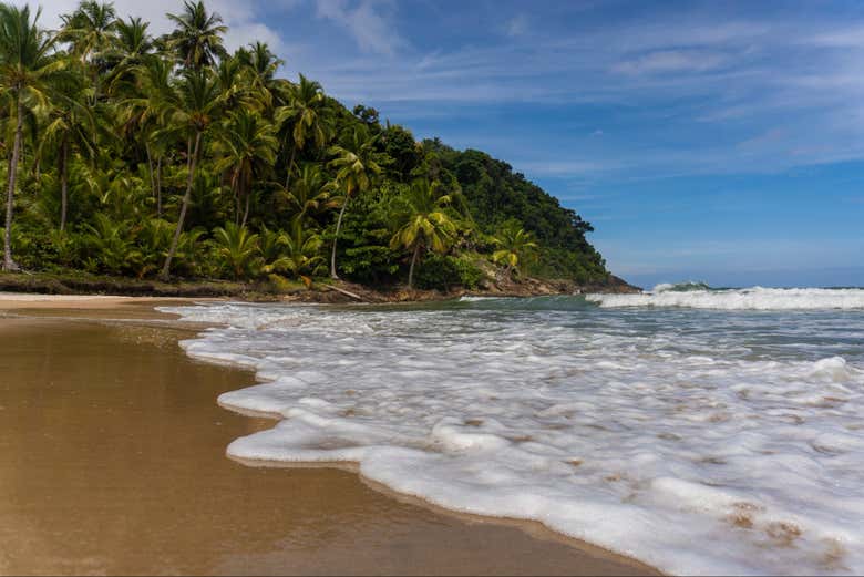 Excursión a la playa de São José da Coroa Grande
