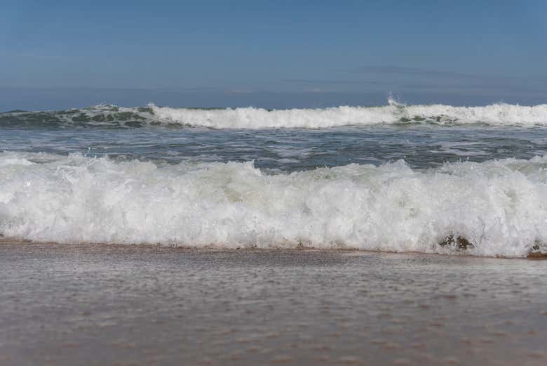 Excursión a la playa de São José da Coroa Grande