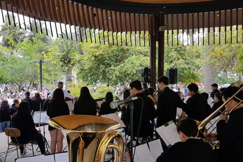 Tour por los palacios de Punta Arenas