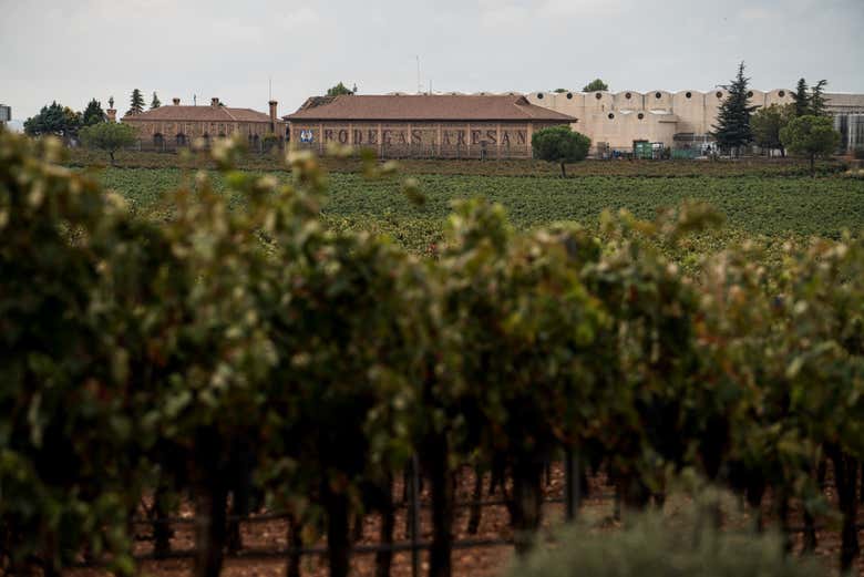 Visita a la Bodega Castillo de Aresan
