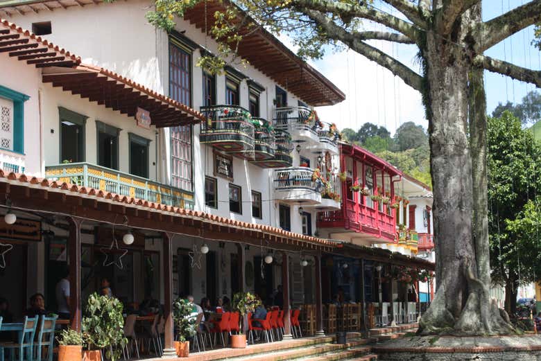 Excursión de 2 días a Jardín y Jericó