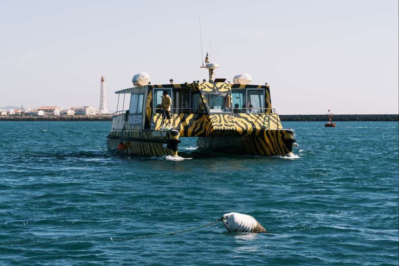 Ferry entre Faro e Isla Deserta