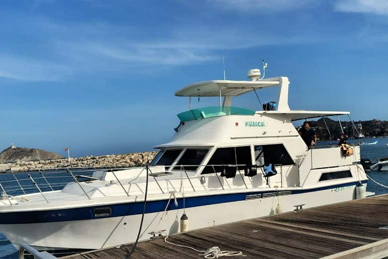 Paseo en barco por las playas de Santa Marta + Isla Pelícano
