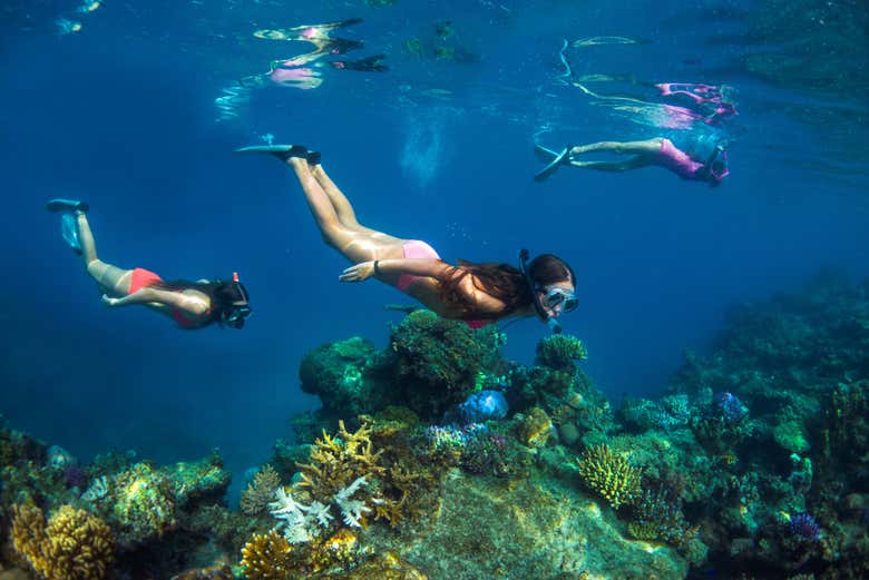 Excursión a la isla privada Kadavu Lailai